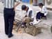 taiyuan 731w- Qiao's family courtyard - workshop-woodworker